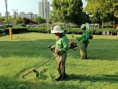 示范区城管局多措并举做好双节绿化管养工作