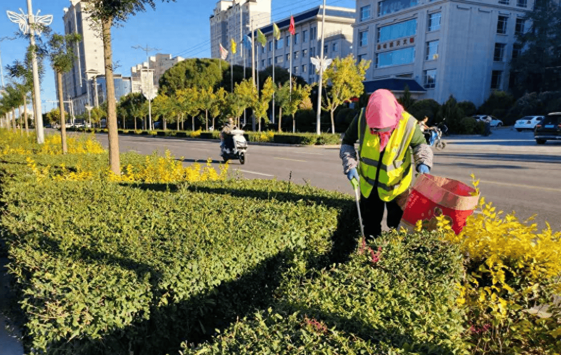 高台县城市园林绿化局清理绿化带垃圾守护城市“绿色风景线”