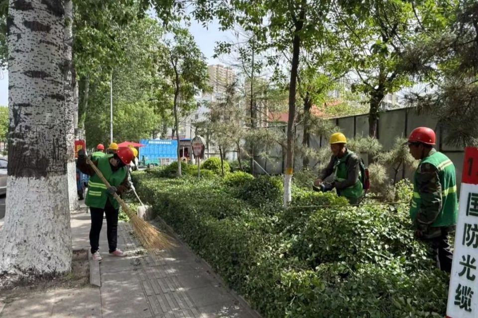 精细养护焕新颜 诸城市园林绿化管理提升城市景观品质