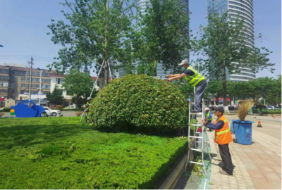 临沂市城管局园林环卫中心奏响夏季绿化修剪“进行曲”