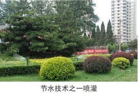 榆林市城市绿化管理办法 规范与创新并重的城市绿化管理措施