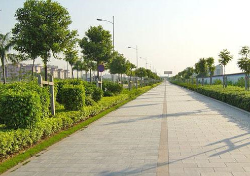 如何完善市政道路园林施工中的绿化养护管理