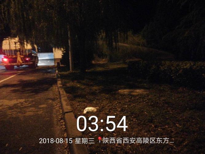 高陵区城市管理局绿化站抗旱保苗8月15日工作动态