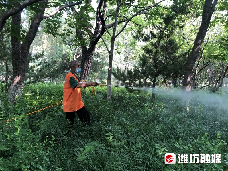 潍坊永久性绿地咋保护?来看看新规定&rarr;